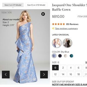 Teri Jon Dress - Mother of the Bride / Mother of the Groom / Black Tie